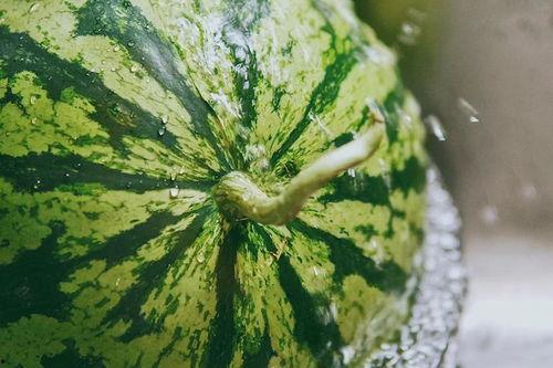 道具吃瓜人,揭秘娱乐圈背后的秘密与真相