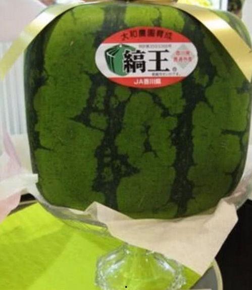 大悟吃瓜事件,一场网络狂欢背后的真相与反思