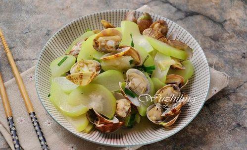 蒲瓜宜什么吃,探索蒲瓜的美食魅力