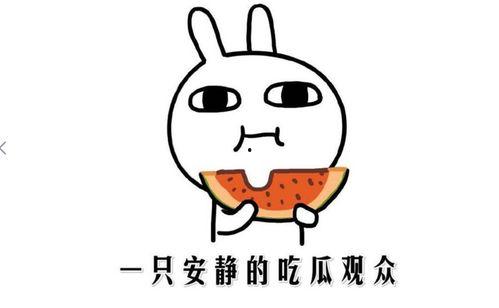 积怨吃瓜,吃瓜群众见证一场恩怨纠葛