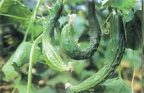 吃瓜精绝,揭秘娱乐圈幕后真相