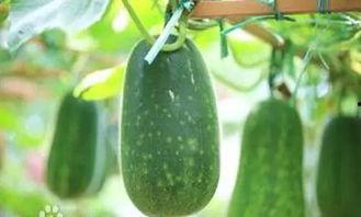 吃瓜精绝,揭秘娱乐圈幕后真相