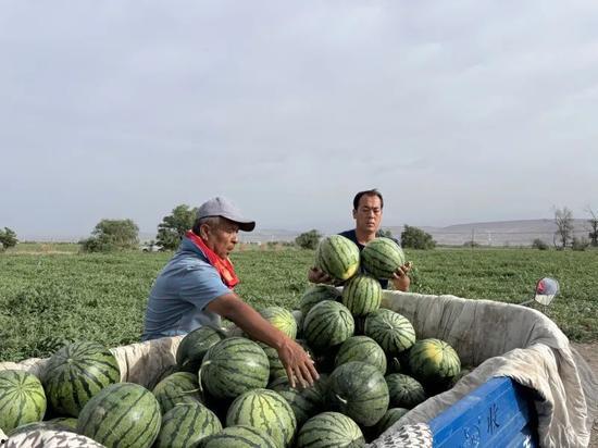 博山近期吃瓜,近期热点事件大盘点