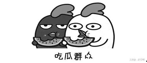 吃瓜多思考,从娱乐八卦中洞察社会现象