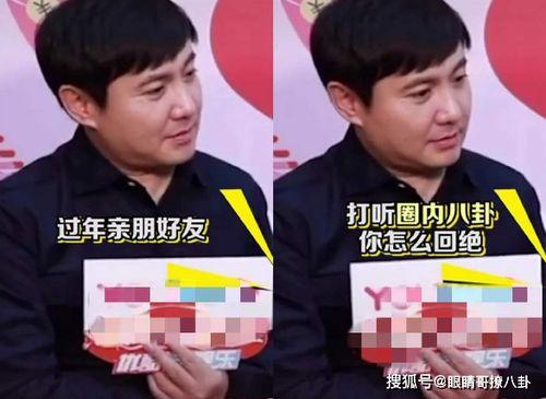 沈腾吃瓜视频全集,笑料百出，揭秘娱乐圈幕后故事