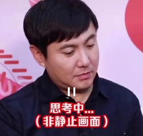 沈腾吃瓜视频全集,笑料百出，揭秘娱乐圈幕后故事