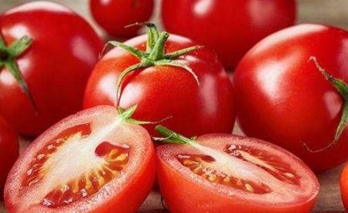 番茄小说特别吃瓜,揭秘特别吃瓜背后的故事与笑料