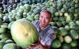 吃瓜的功夫,揭秘娱乐圈幕后风云