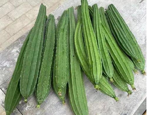 绿色花纹的瓜怎么吃,绿色花纹瓜的多样食法探索