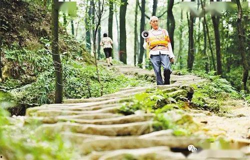 森林消防公园吃瓜,清凉一夏尽享绿意盎然