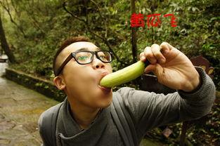 森林消防公园吃瓜,清凉一夏尽享绿意盎然