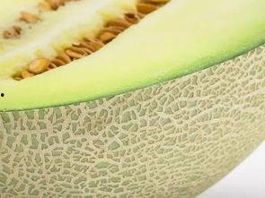 日本甜蜜瓜怎么吃,日本甜蜜瓜的多重美味食用指南