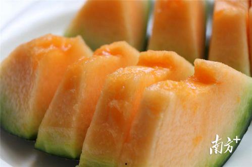 中国正宗吃瓜视频,趣味视频带你领略民间风情