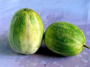 吃瓜利于排便吗,揭秘瓜果对排便的神奇作用