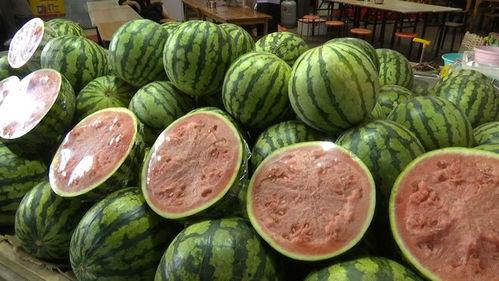 网瓜都是怎样吃,探索创意吃瓜新潮流