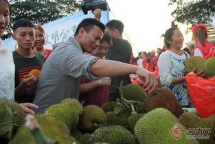 德宏芒市吃瓜事件