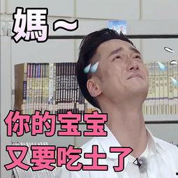 胡歌吃瓜表情,演绎娱乐圈“吃瓜群众”新风尚