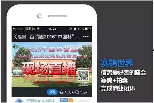 直播吃瓜模式怎么玩,轻松解锁趣味互动新玩法