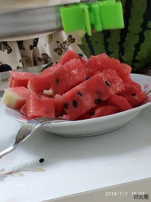 51娱乐吃瓜网红,揭秘吃瓜网红背后的故事