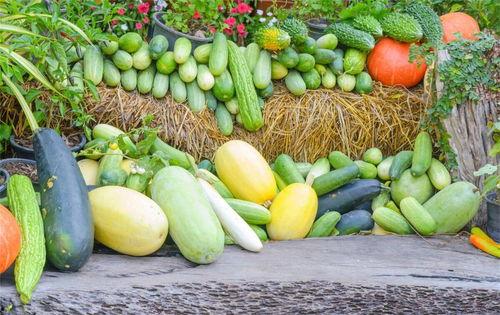 没钱就老实吃瓜,揭秘网络时代的“吃瓜群众”现象