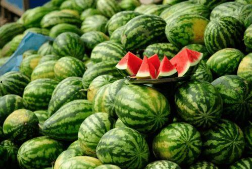 看网红吃瓜,幕后故事与热门话题深度解析