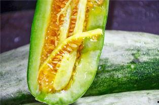 看网红吃瓜,幕后故事与热门话题深度解析