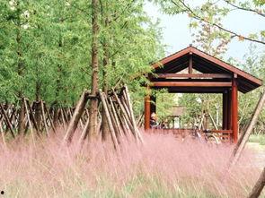 富平吃瓜好去处,吃瓜好去处大盘点