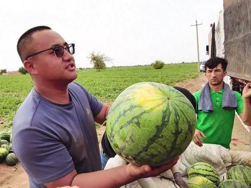吃瓜图片下载,揭秘吃瓜图片下载背后的潮流现象