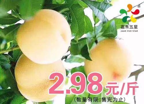 白桃吃瓜免费阅读,免费阅读带你领略甜蜜瓜界