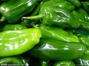 吃籽瓜过敏,症状、原因及预防措施