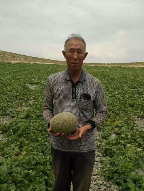 李大头吃瓜,揭秘娱乐圈幕后故事