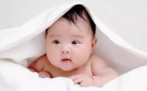 婴儿可以吃小白瓜吗,小白瓜的营养与适宜食用时间