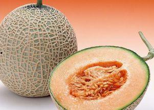 有氧后吃哈密瓜,哈密瓜助力健康恢复的秘密