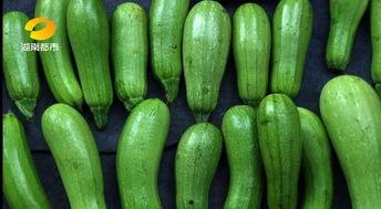 五中吃瓜,揭秘校园吃瓜背后的故事