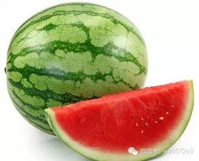 五中吃瓜,揭秘校园吃瓜背后的故事