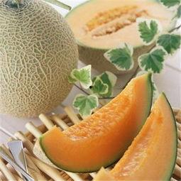 哈密瓜混着吃,开启味蕾新体验