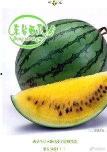 吃瓜总集,盘点娱乐圈那些年我们追过的热点事件