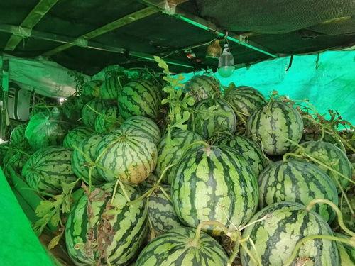 吃瓜总集,盘点娱乐圈那些年我们追过的热点事件