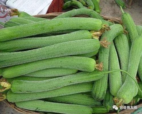 就是喜欢吃瓜,揭秘那些让人欲罢不能的瓜类美味