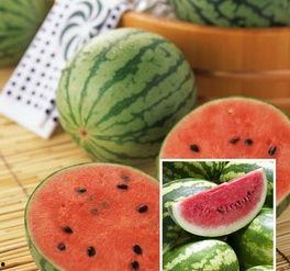 就是喜欢吃瓜,揭秘那些让人欲罢不能的瓜类美味