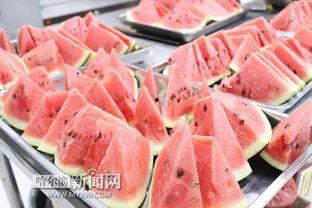 极地吃瓜,吃瓜群众眼中的冰雪奇缘