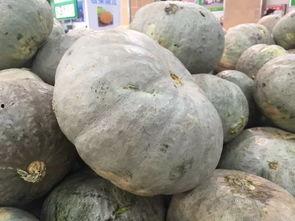 煮着吃很甜的瓜,揭秘煮着吃超甜的秘密