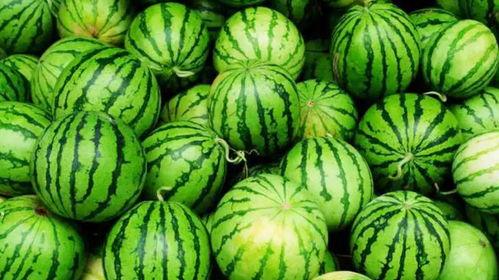 吃瓜黑网暴,吃瓜黑网背后的真相与反思