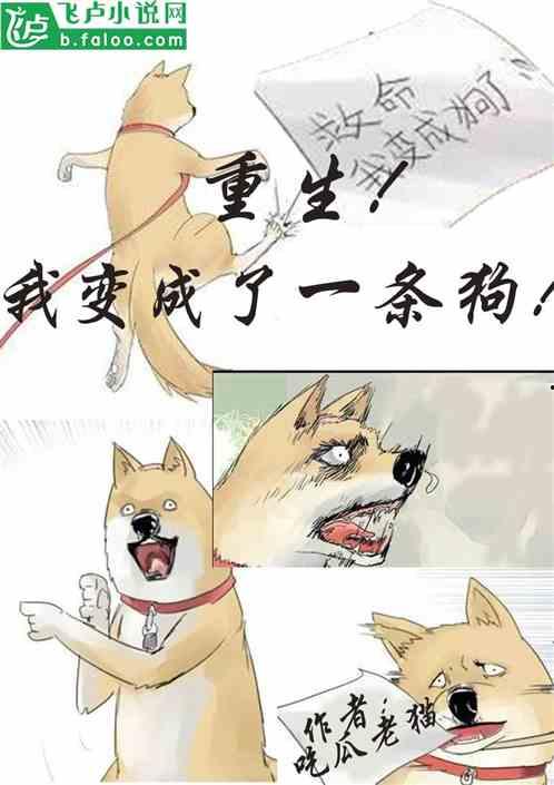 吃瓜师弟小说,笑料百出，揭秘修仙界的欢乐日常