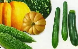 宗门吃瓜系统,揭秘吃瓜系统背后的神秘宗门故事