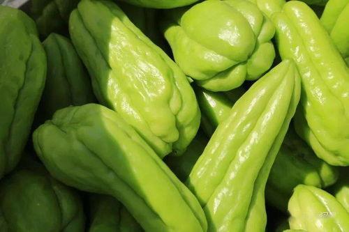 阿申吃瓜,揭秘娱乐圈背后的那些事儿