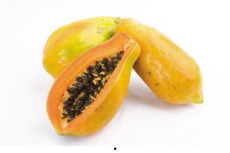 晚上吃白水瓜,消暑解渴的夏日美食之旅