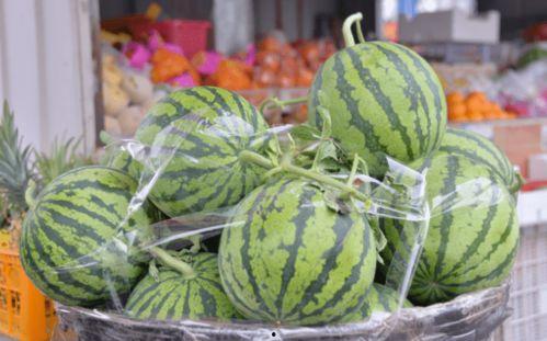 吃瓜乐图片,揭秘娱乐圈幕后趣闻