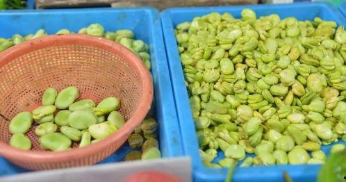 吃瓜乐图片,揭秘娱乐圈幕后趣闻