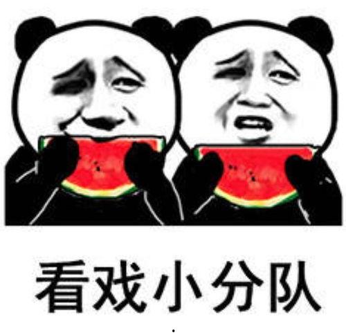 吃瓜的安排,揭秘年度热门事件大盘点